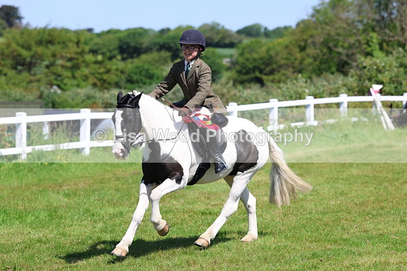 3E7A6798 - Working Hunter Pony Championship