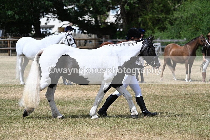 WJ7_1720 - Class 4 Prettiest Mare up to 14.2hh in hand