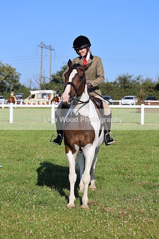 IMG_1344 - Class 27: Ridden Plaited Coloured Horse
