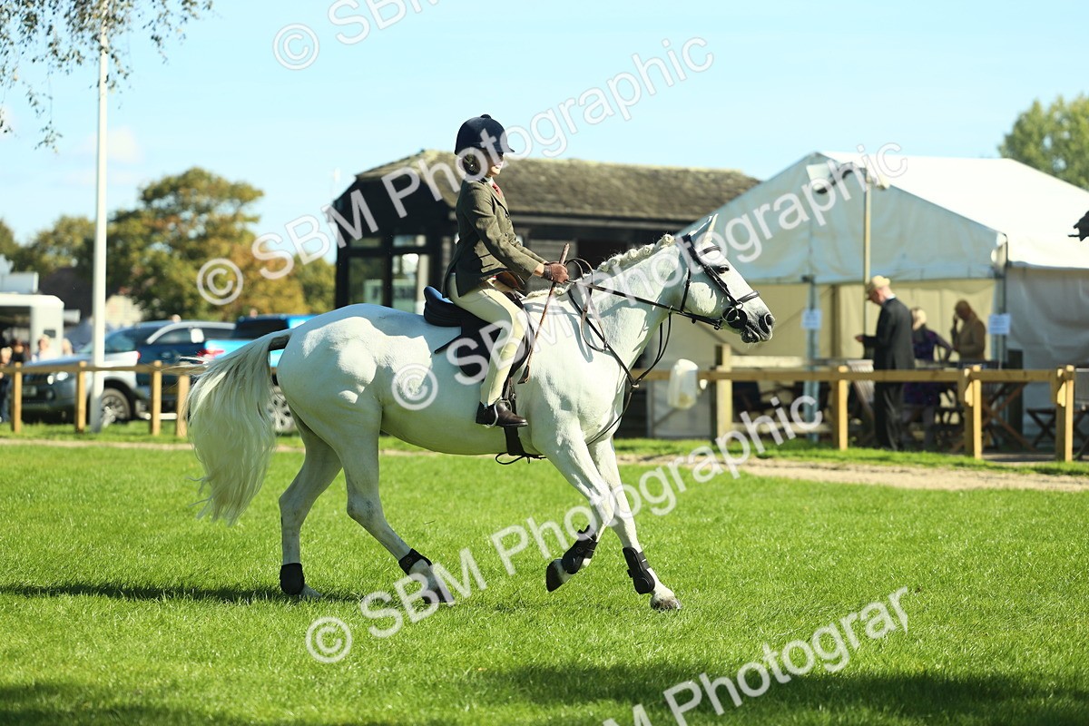 SBM_39122 - S29 - Novice & Newcomers Working Hunter Pony