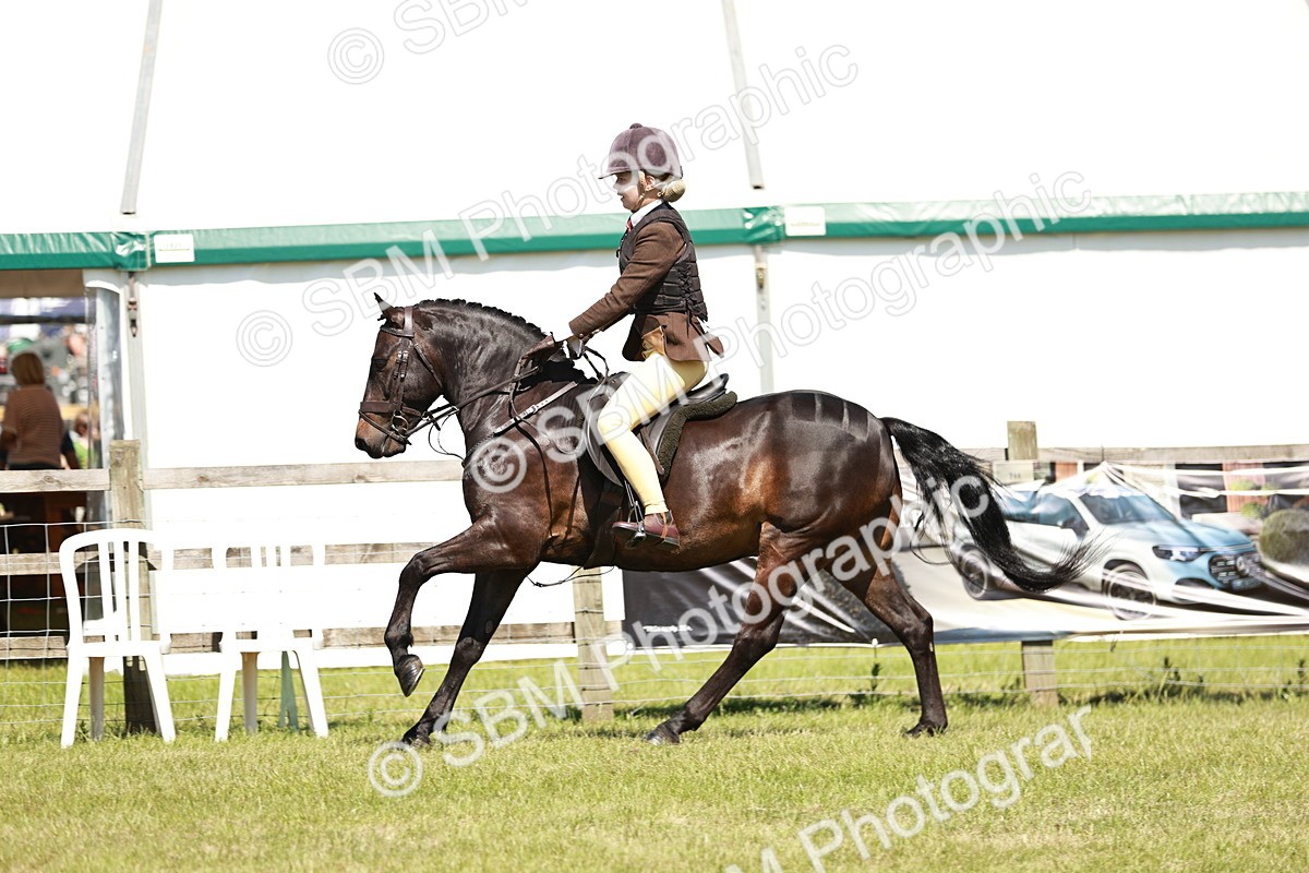 SBM_17651 - Class 112-113 - BSPS LIHS Working Sports Pony