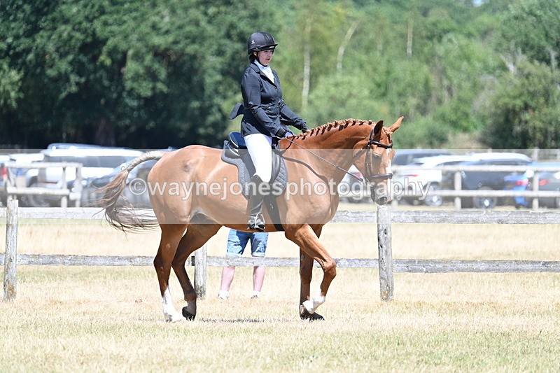 WJ7_2901 - Class 7 Riding Club Show Horse