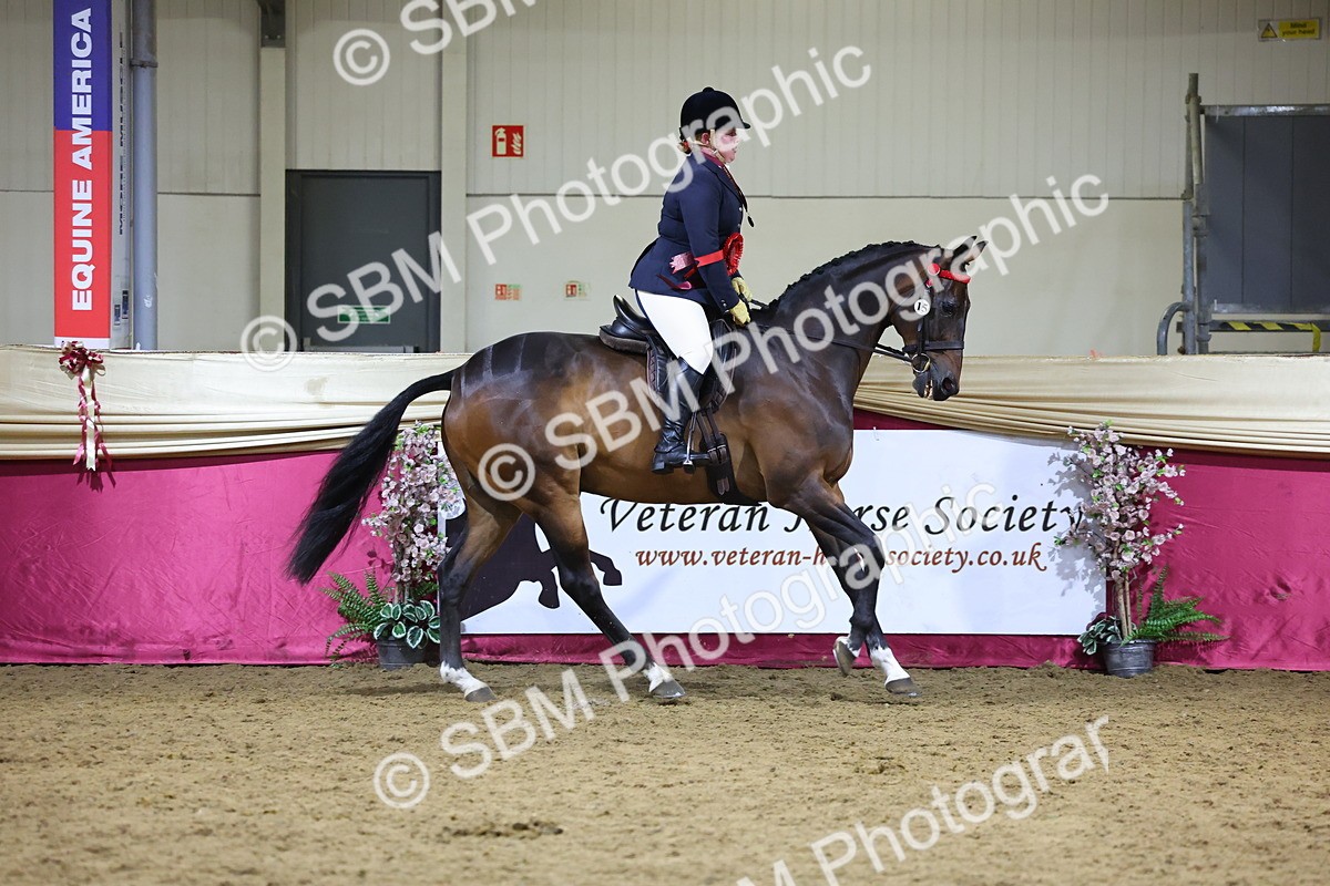 0B8A4295 - Class 108Ridden Retired Racehorse- Final Judging