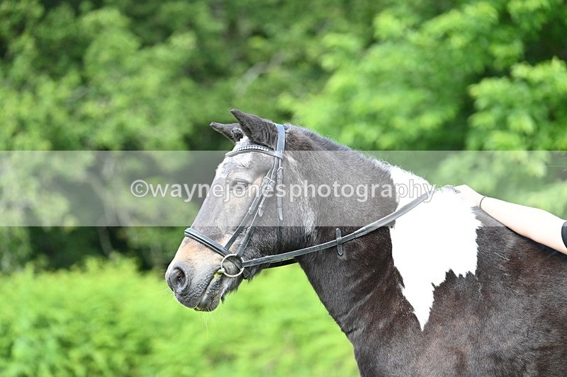 WJ7_1638 - Class 11 Condition & Turnout
