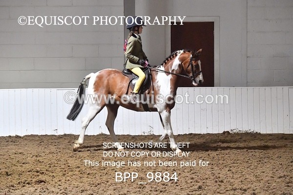 BPP_9884 - RING 1