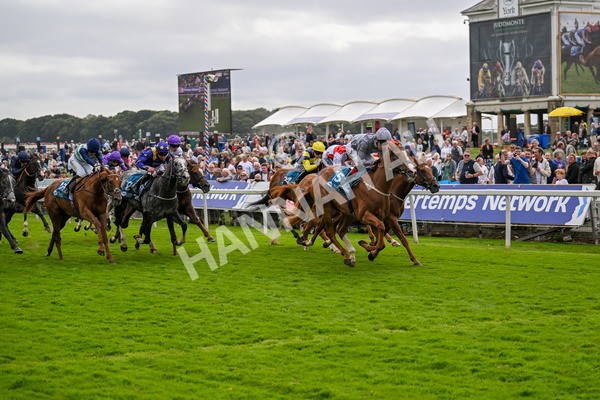 220824-Race 3-Thunder Run-7040 - Race 3 3.00pm Clipper Handicap