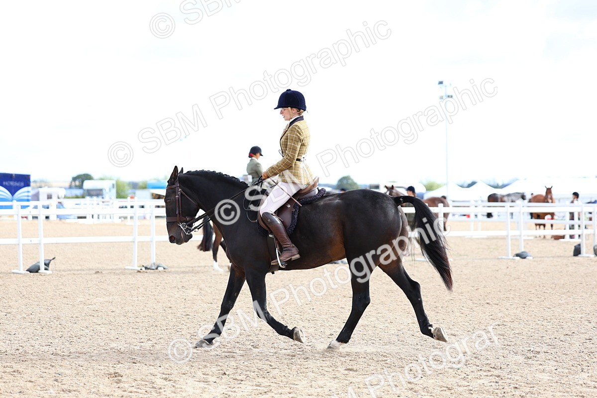 SBM_10053 - Class 304 - Ridden Part Bred Horse Pony