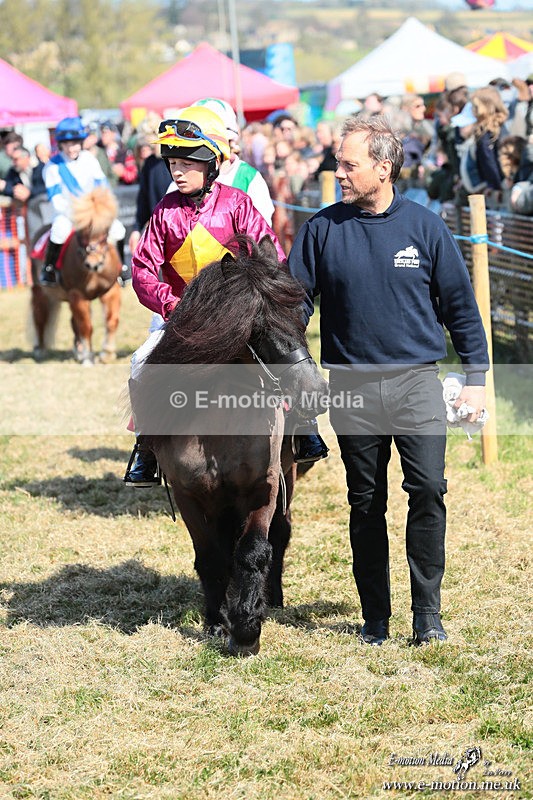 Shet 060426 80 - Shetland Pony Racing Paxford Races Easter Mon 06/04/26