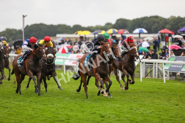 150624-Race 7-Holkham Bay-6262 - Race 7 5.25pm Fordy Marshall Land And Property Consultants Handicap