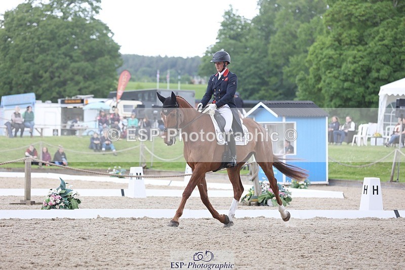 240524-141329-09690 - 280-SHANNONDALE_ARNOLD-Tom_McEwen