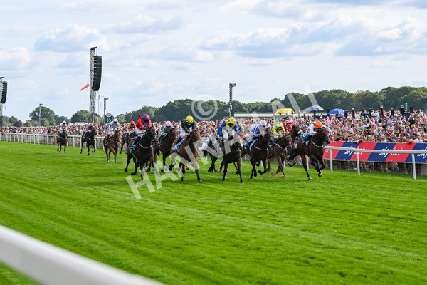 260725-Race 7-Chesneys Charm-7942 - Race 7 5.00pm Sky Bet Extra Places Every Day Handicap