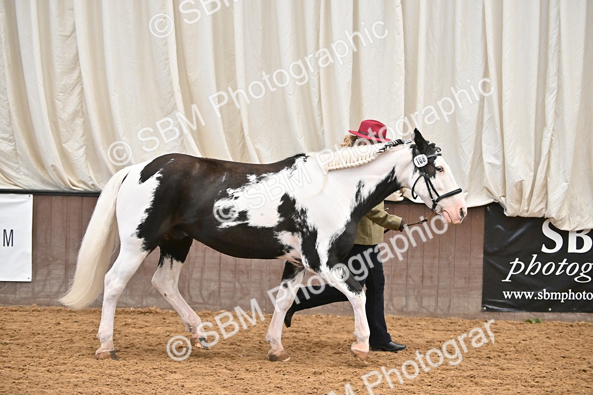 SBM_000279 - Class 10 - In Hand Coloured & Odd Coloured