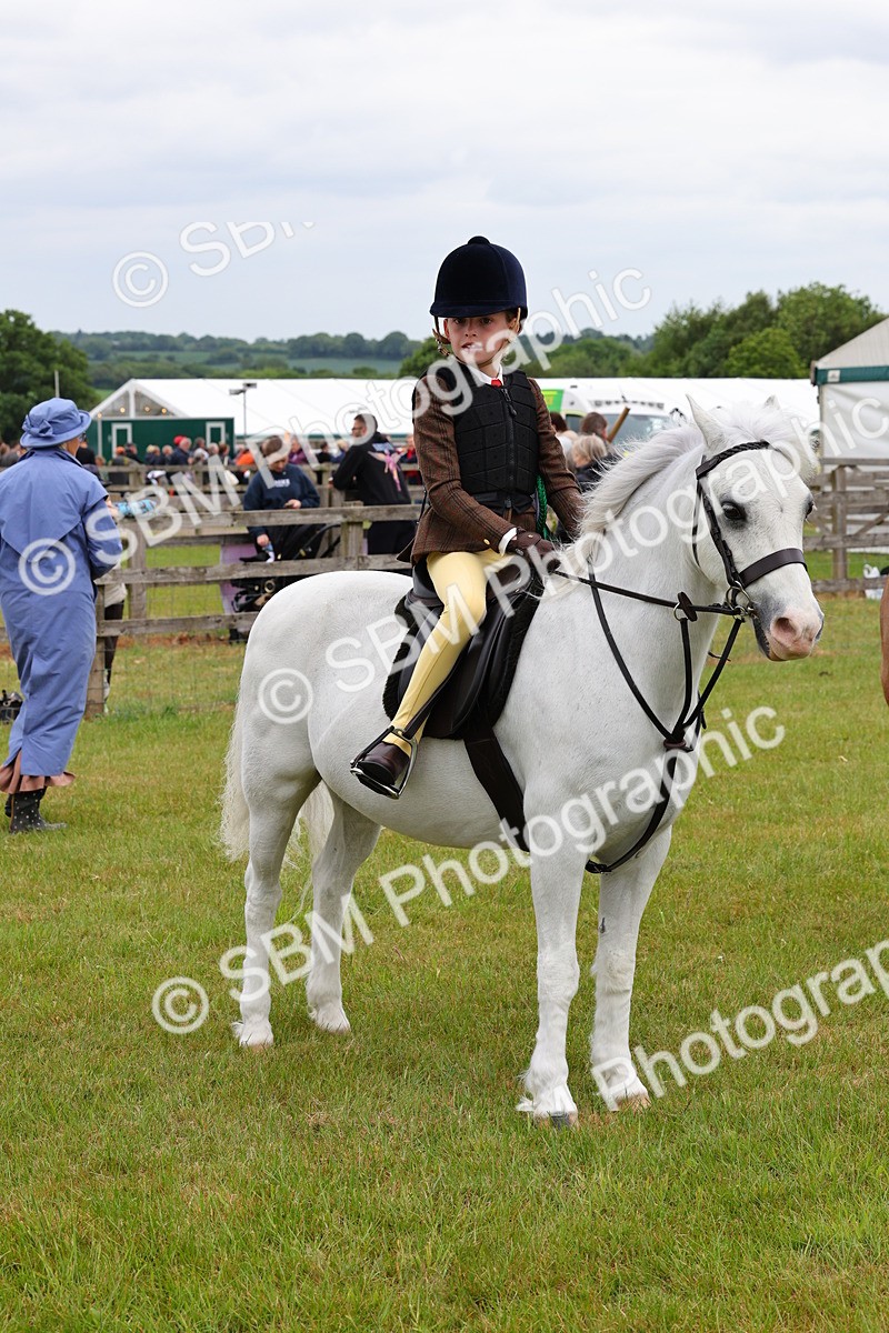 SBM_08861 - Class 42-43 - LIHS BSPS Heritage Working Sports Pony