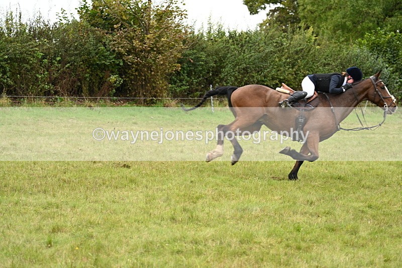 WJ7_4178 - Camera 1 Line 2