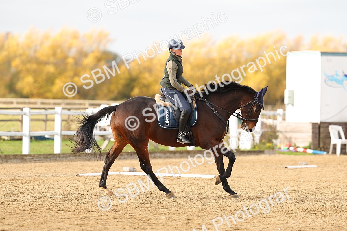 SBM_001320 - Class 13-4-9 - DR P3 CT P3 70cm CT PYO