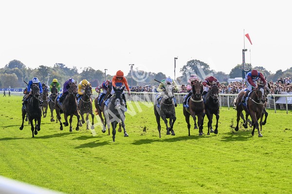 111025-Race 2-Grey Cuban-0247 - Race 2 Coral 'Pipped At The Post' Handicap at York