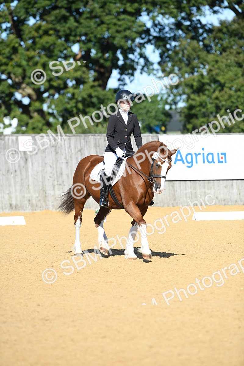 SBM_18010 - D4 - Small Tour Championship - Intro B