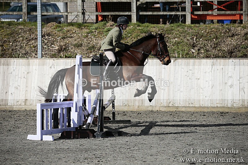 BVRC SJ 170319 107 - Bourne Valley Riding Club Showjumping 17/03/19
