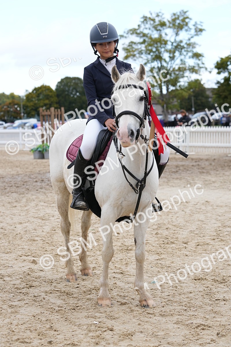 SBM_40882 - Supreme Championship Pony 50-55cm