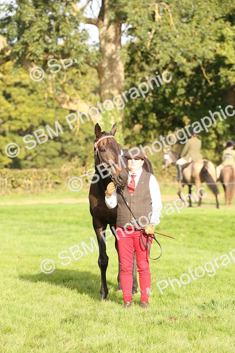 SBM_54695 - S53 - Hunter In Hand
