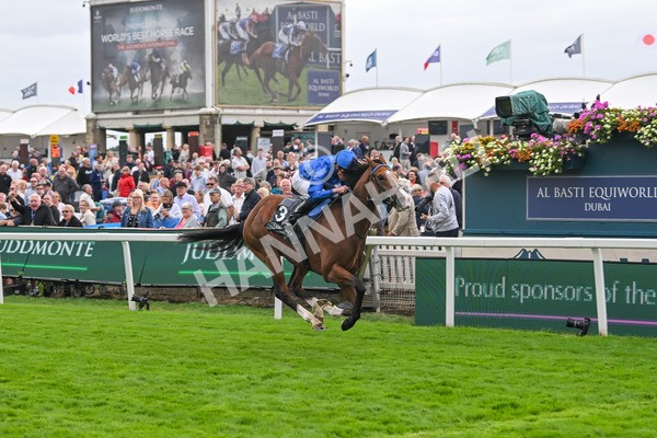 200825-Race 4-Ombudsman-1643 - Race 4 3.35pm Juddmonte International Stakes