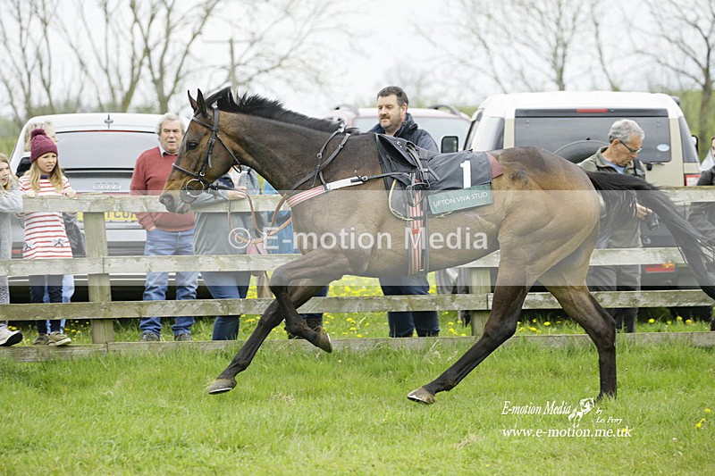 PtP 020522 163 - Mollington Races Point-to-Point 02/05/22