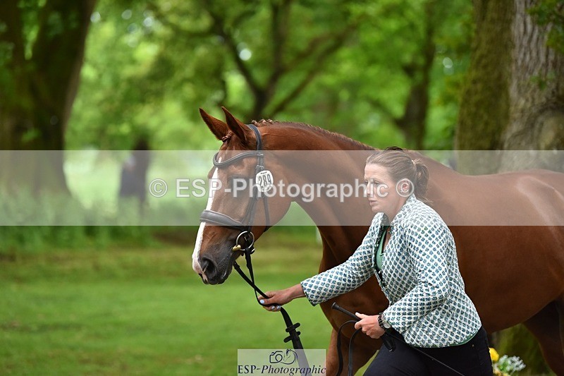 240522-172754-01626 - 289-JUST_A_JOLLY-Flora_Harris