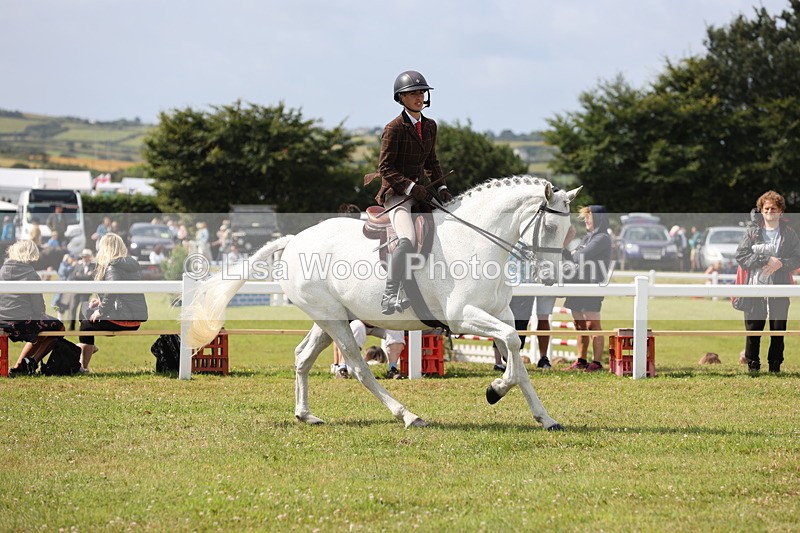JPP_1267 - Class 17: Cornish Combination Open