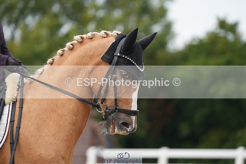 250907-152917-09543 - 121-Jodie.SmithAmber