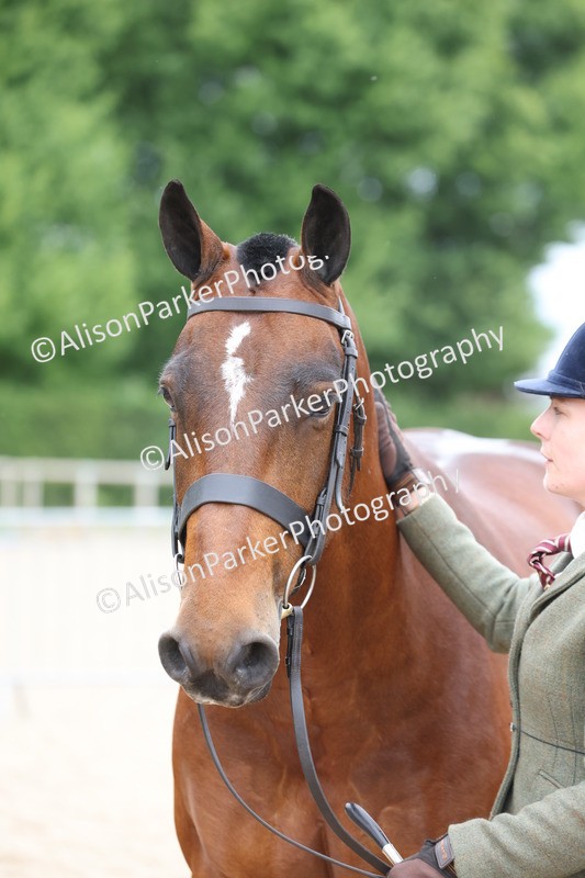 20250524-1010 - Class 9 - Cob and Hunter