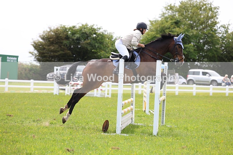 3E7A1451 - Class 13: Senior British Novice/90cm open