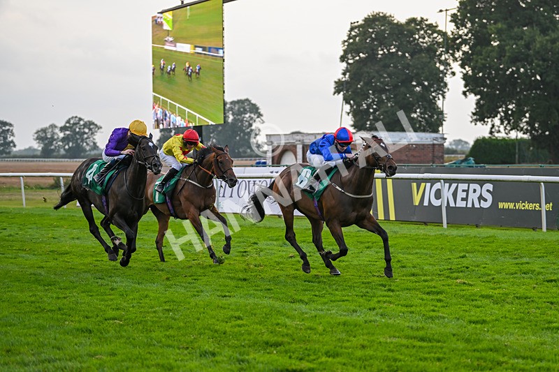 070924-Race 8-Desert Falcon-8085 - Race 8