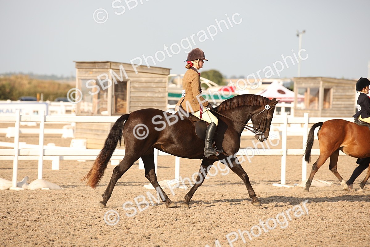 SBM_09224 - Regional Ridden Champ