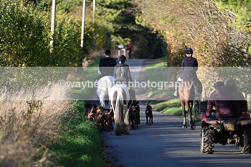 WJ7_8664 - Walk Home