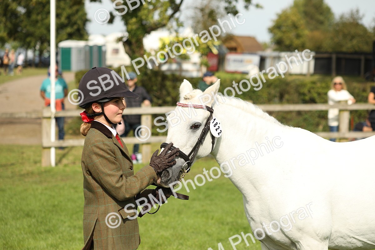 SBM_68640 - S40 - Junior Handler 9-12 Years