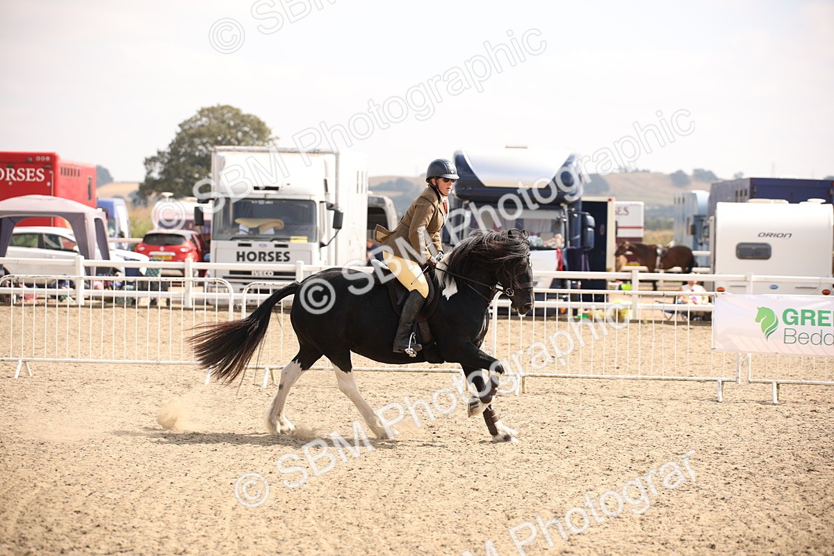 SBM_14215 - Class 407a - Working Veteran 60cm (15-19