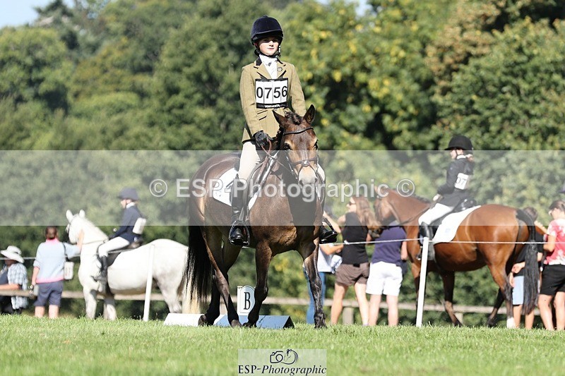 250823A-102953-27711 - Arena D