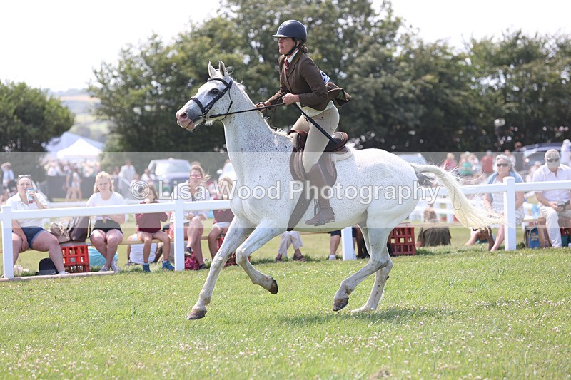 JPP_2691 - Class 21: Working Hunter 60cm