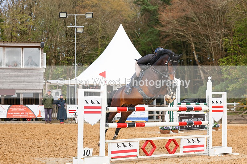 3E7A2335 - Class 8: Senior Foxhunter/1.20 open