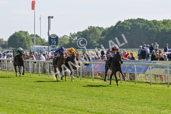 140525-Race 4-Whirl-2388 - Race 4 3.45pm Tattersalls Musidora Stakes