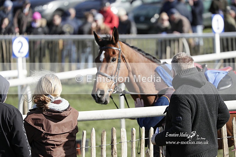 PtP 100423 951 - Old Berkshire Point-to-Point Lockinge 10/04/23