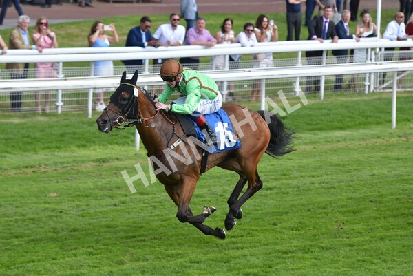 yr09072021r5-47 - Race 5: 4.20pm Garbutt + Elliott Stakes