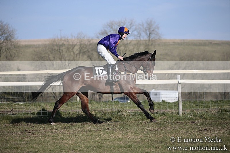 PtP 240218 337 - Vine & Craven Hunt Point-to-Point Barbury racecourse 24/02/18