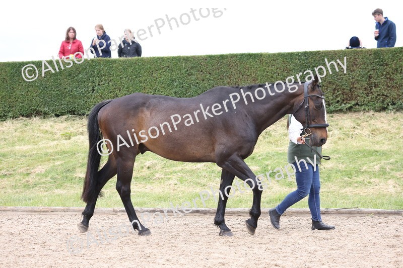 20250524-0625 - Class 7 - Veteran