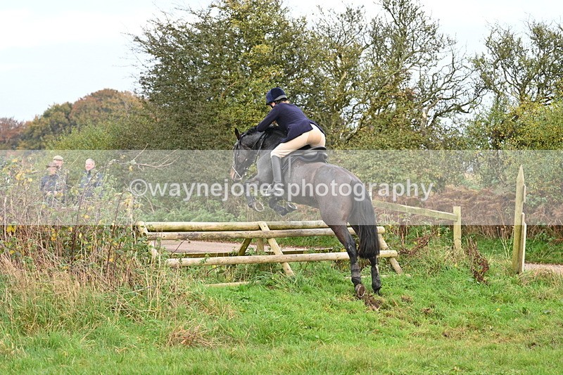 WJ7_0387 - Camera 1 & Last fence
