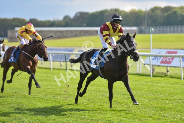 yr12052021r7-31 - Race 7 4.50 pm Conundrum HR Consulting Stakes
