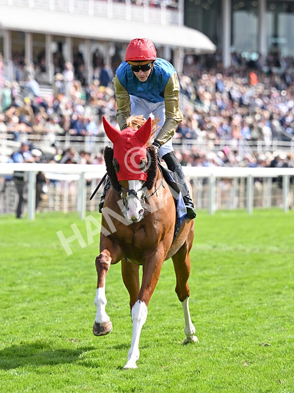 220826-017 Damysus - Race 1 13.50pm Sky Bet Strensall Stakes