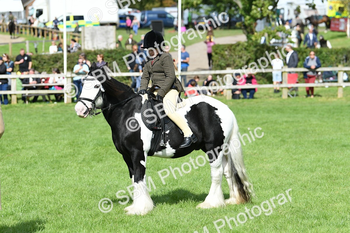 SBM_46982 - S12 - Family Horse & Pony