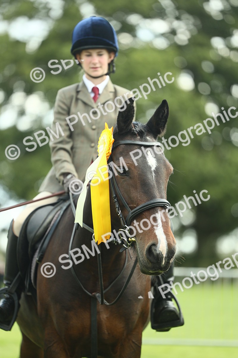 SBM_42243 - S29 - Novice & Newcomers Working Hunter Pony