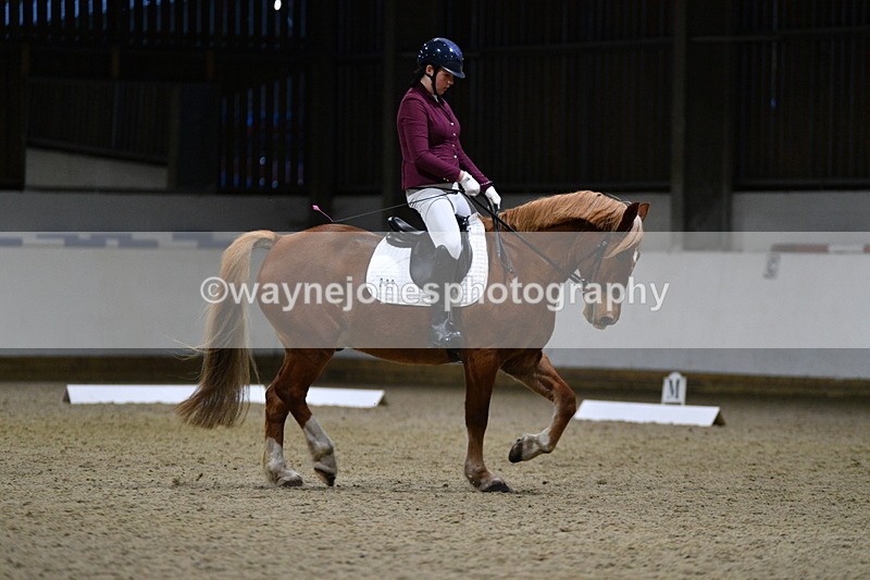 WJ5_8728 - Extra test